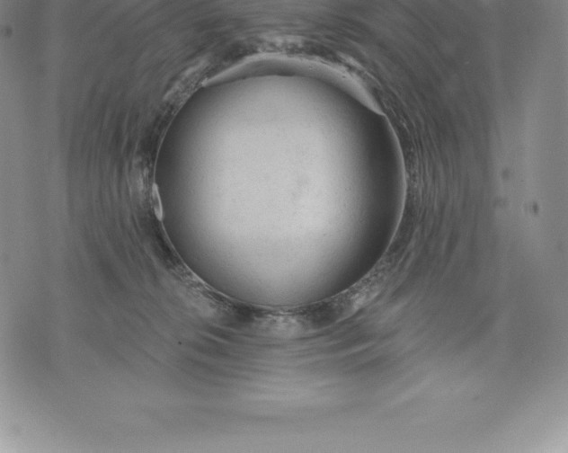 X0000076300276200610161601