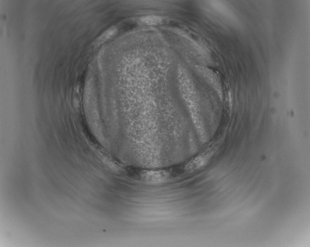 X0000076300277200610161601