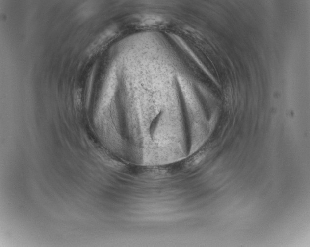 X0000076300278200610161601