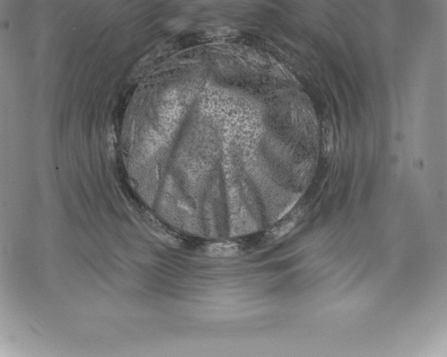 X0000076300279200610161601