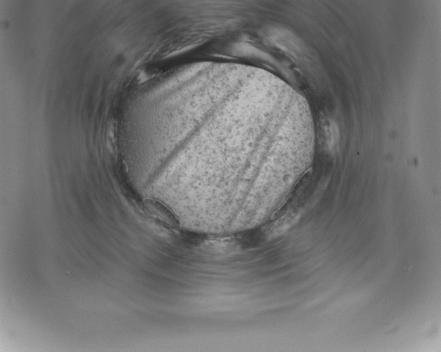 X0000076300280200610161601