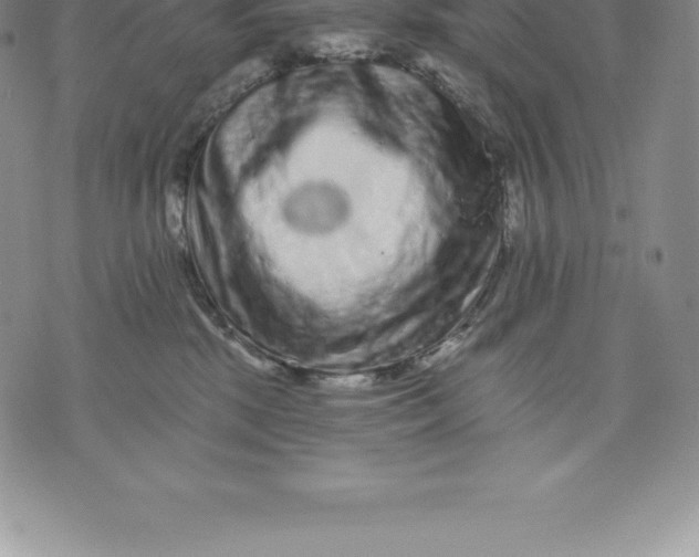 X0000076300281200610161601