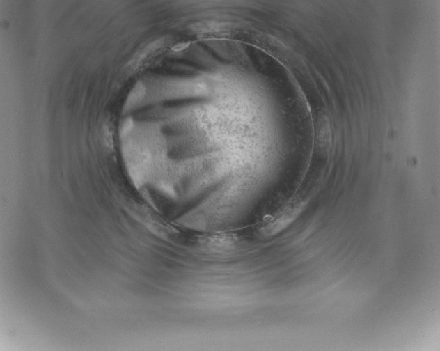 X0000076300282200610161601