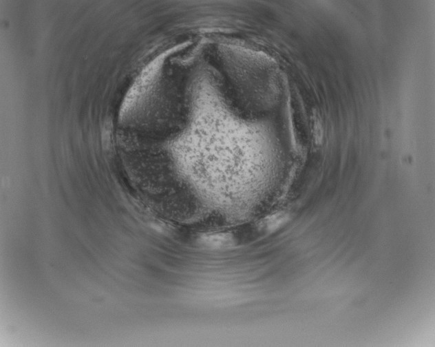 X0000076300283200610161601