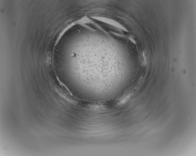 X0000076300284200610161601