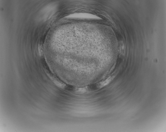 X0000076300285200610161601