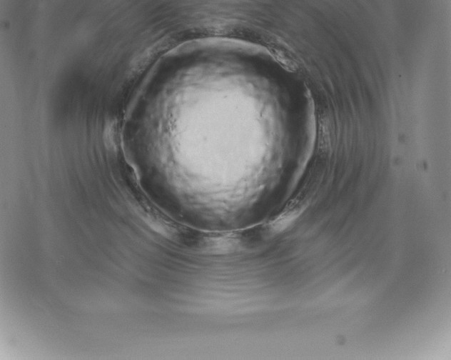 X0000076300286200610161601