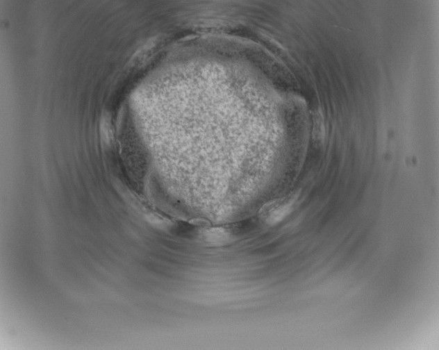 X0000076300287200610161601