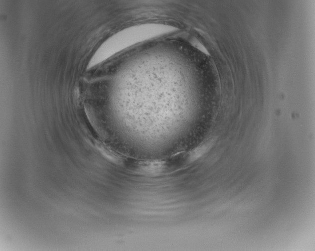 X0000076300288200610161601