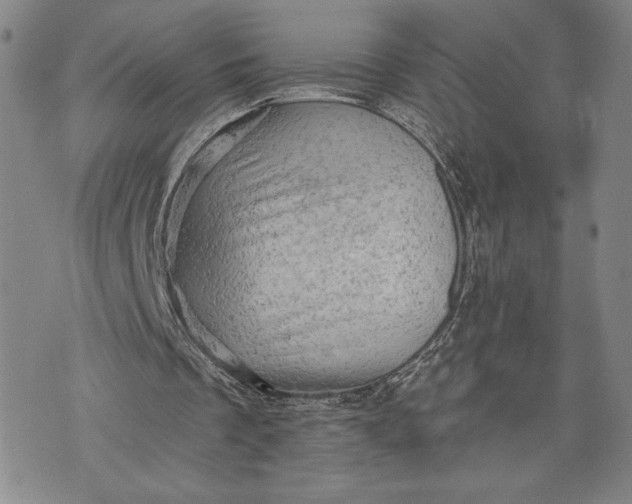 X0000076300289200610161600