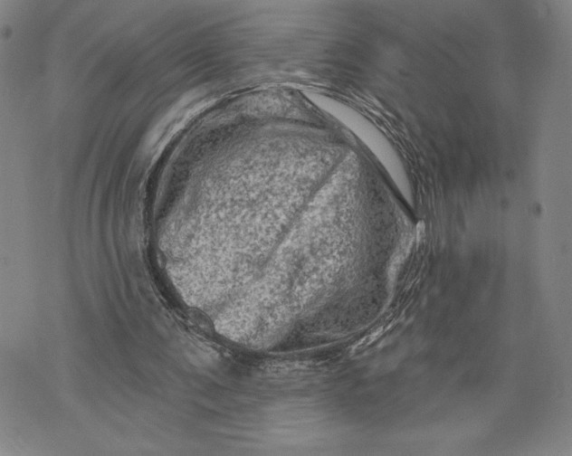 X0000076300291200610161600