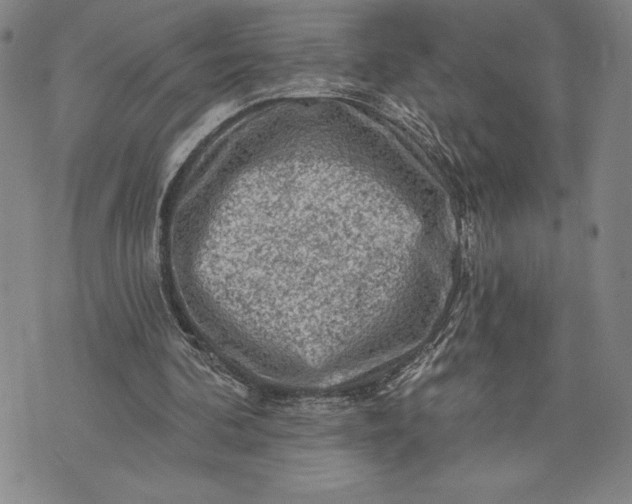 X0000076300292200610161600