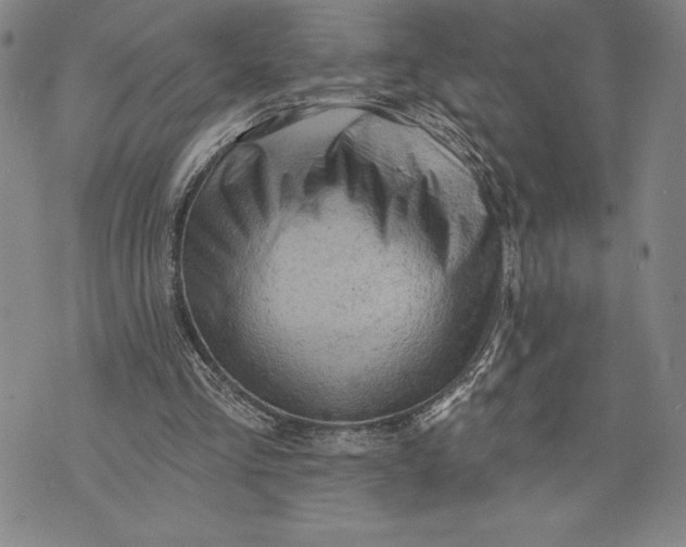 X0000076300293200610161600