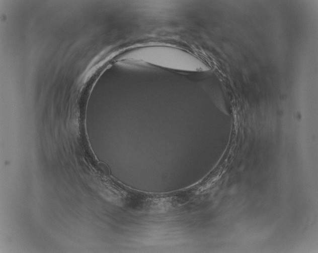 X0000076300295200610161600