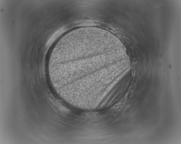 X0000076300296200610161600