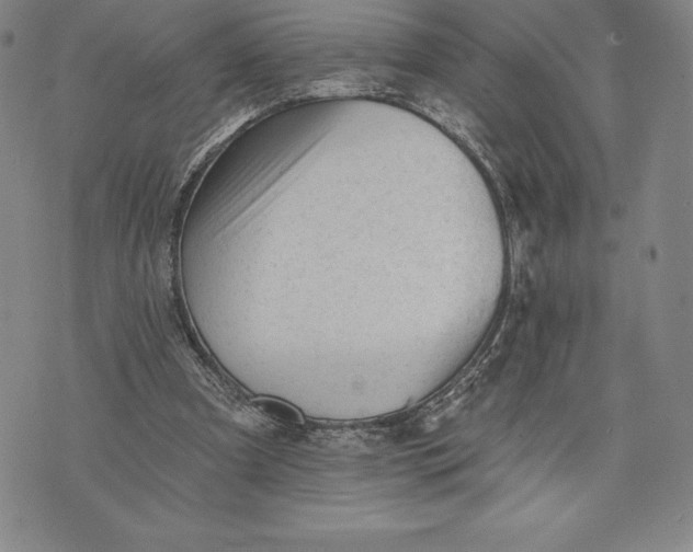 X0000076300297200610161600