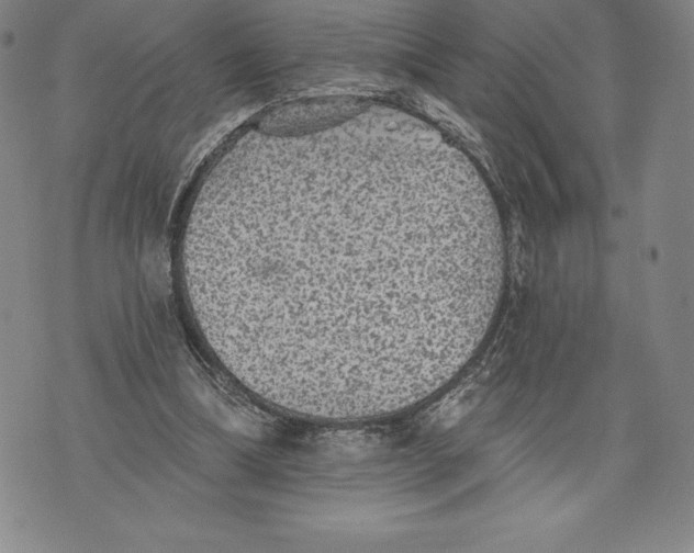 X0000076300298200610161600