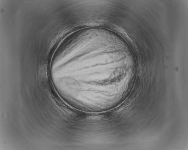 X0000076300299200610161600