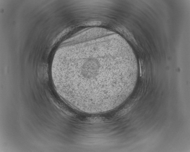 X0000076300300200610161600