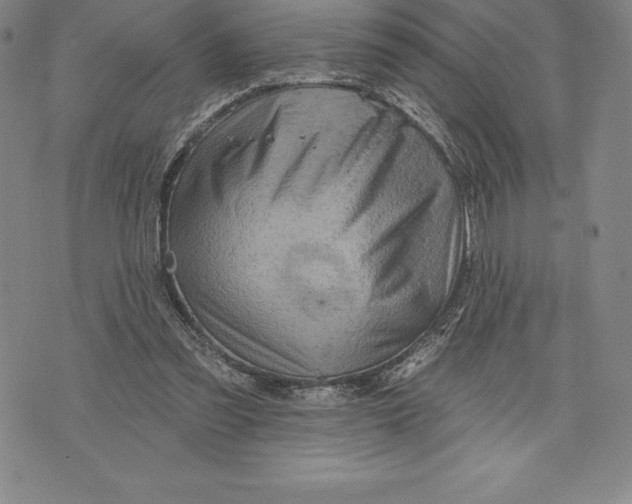 X0000076300301200610161600