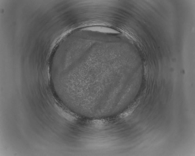 X0000076300302200610161600