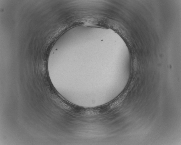 X0000076300305200610161600