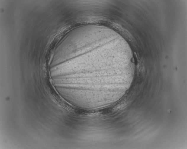 X0000076300306200610161600