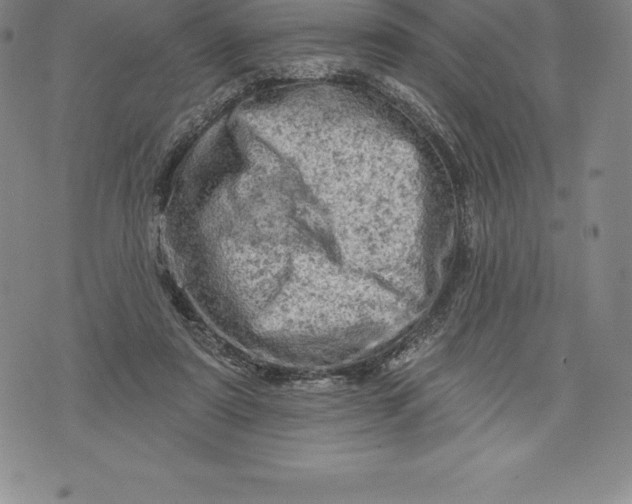 X0000076300307200610161600