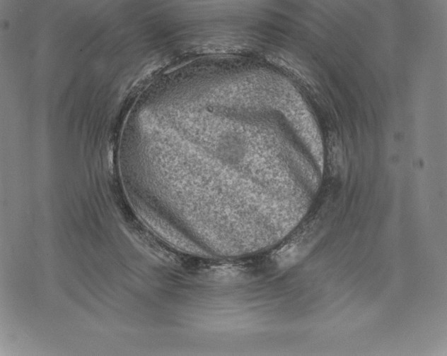 X0000076300310200610161600