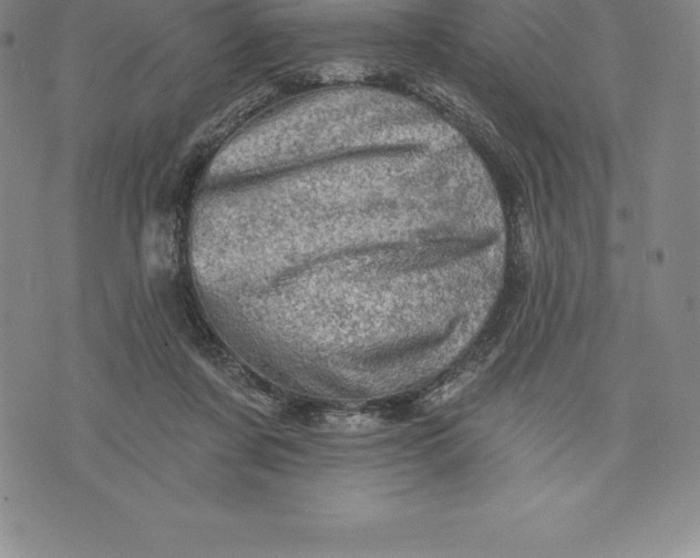 X0000076300311200610161600