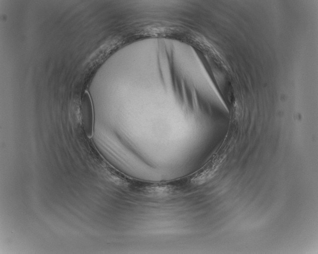 X0000076300313200610161600