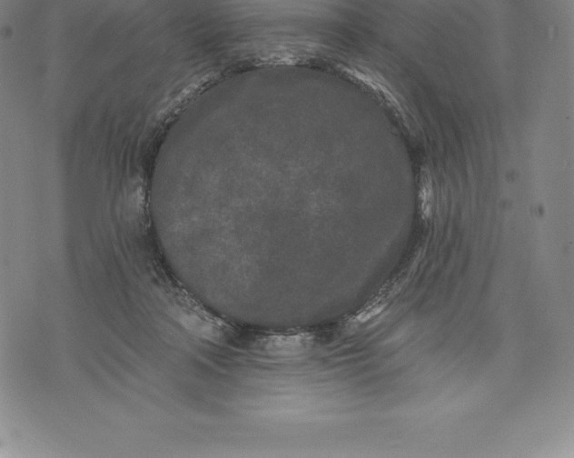 X0000076300314200610161600