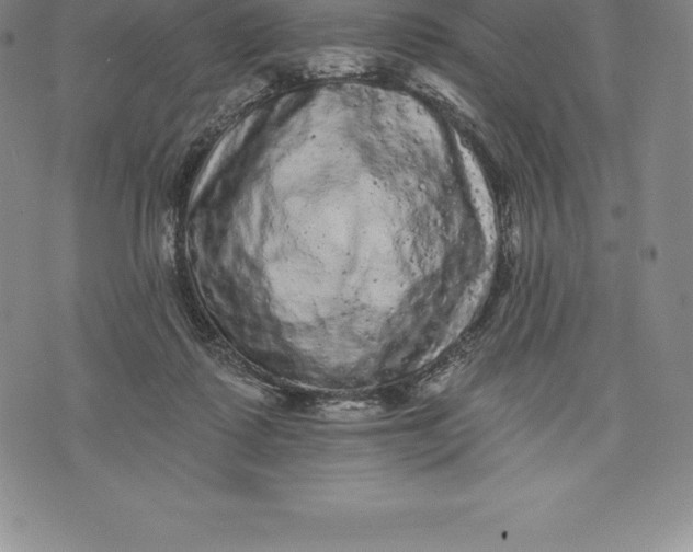 X0000076300315200610161600