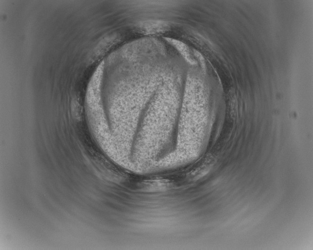 X0000076300316200610161600