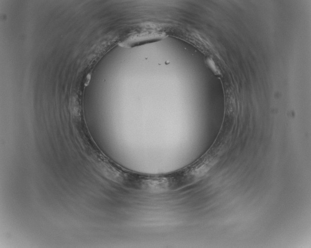 X0000076300317200610161600