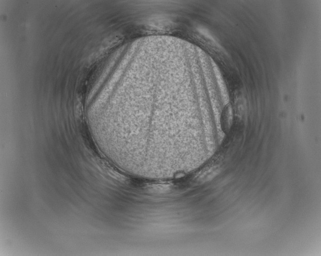 X0000076300318200610161600