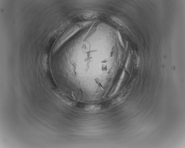 X0000076300319200610161600