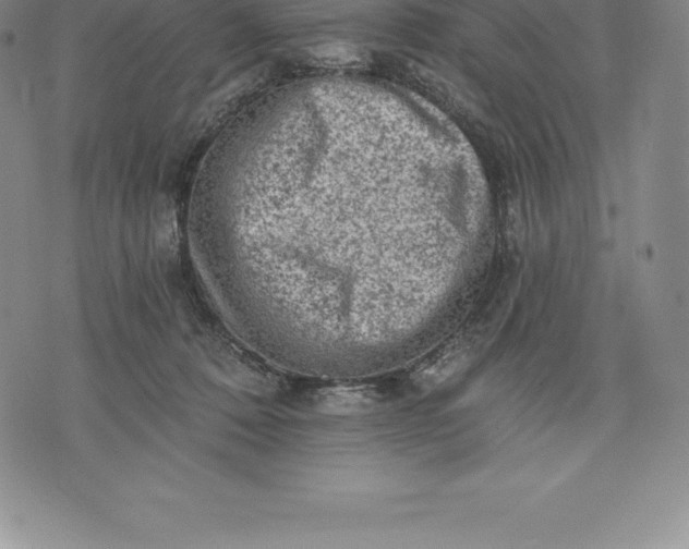 X0000076300320200610161600