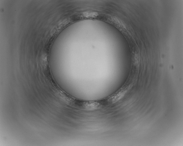 X0000076300321200610161600