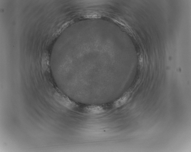 X0000076300322200610161600