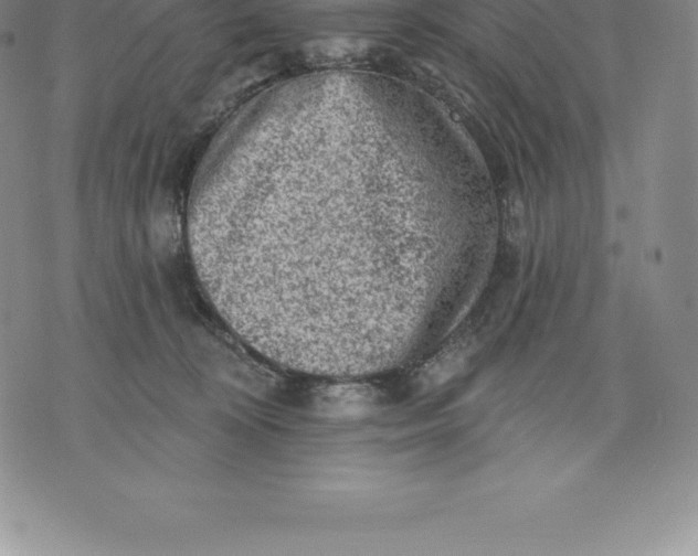 X0000076300324200610161600