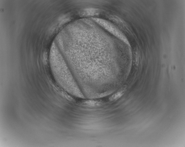 X0000076300326200610161600