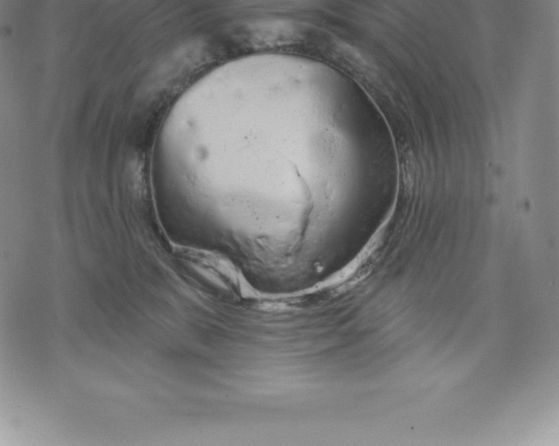 X0000076300327200610161600