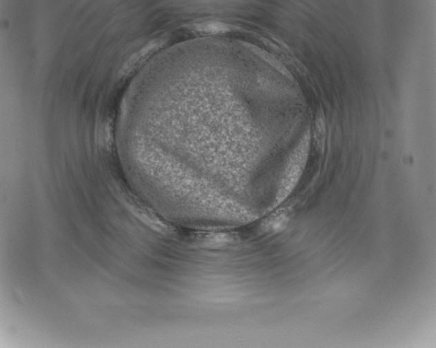 X0000076300330200610161600