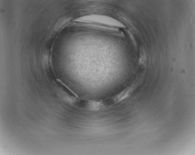 X0000076300333200610161600