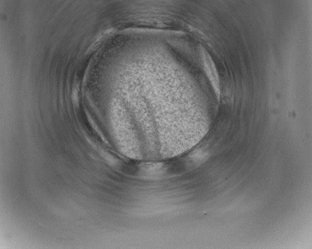 X0000076300334200610161600