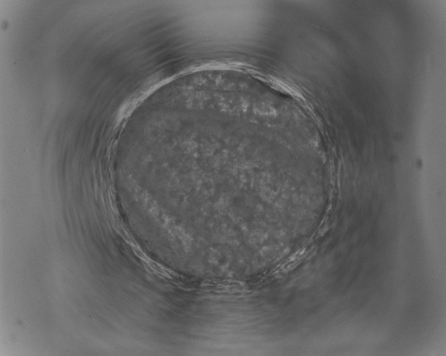 X0000076300337200610161559