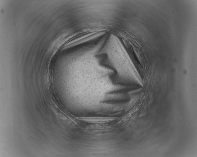 X0000076300338200610161559