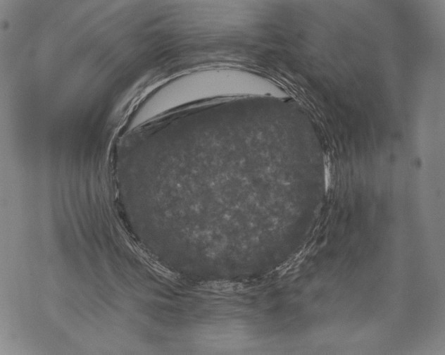 X0000076300339200610161559