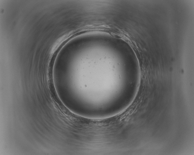 X0000076300340200610161559